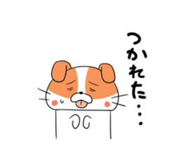 5548163