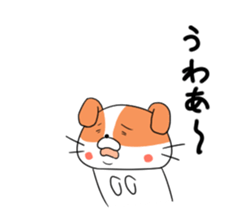 5548167