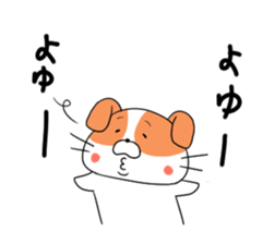 5548172