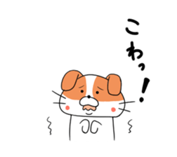 5548175