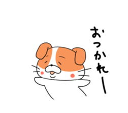 5548179