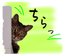 554835672