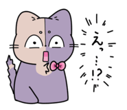 554848643