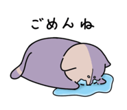 554848645
