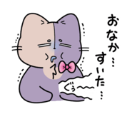 554848651
