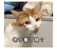 554850578