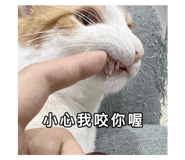554850587