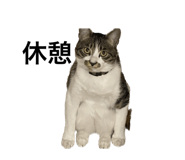 554897967