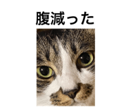 554897971