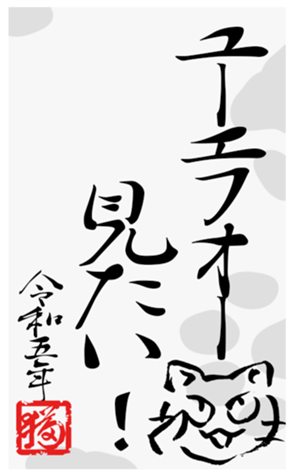 554900019