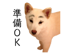 554919919