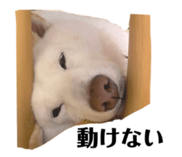 554919943
