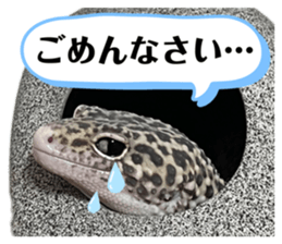 554930598