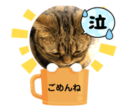 554933736