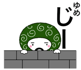 55493874