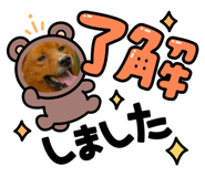 554962751