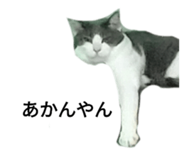 554965048