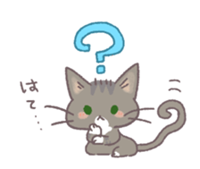 554965441
