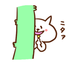 5549656