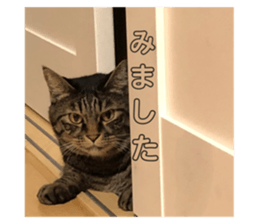 554993315