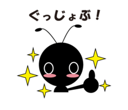 5550043