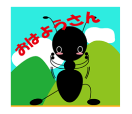 5550049