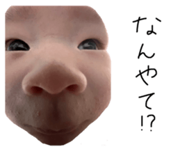 555013861