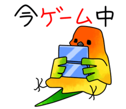 5550304