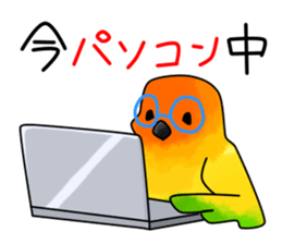 5550305