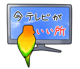 5550307