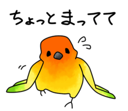 5550318