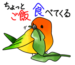 5550325