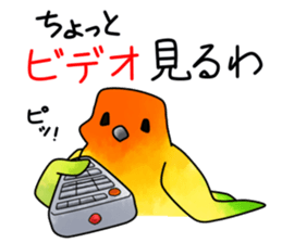 5550333