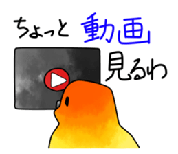 5550334