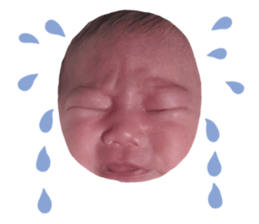 555043827