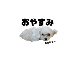 555043831