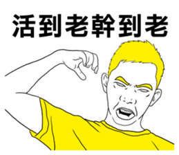 55504784