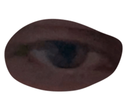 555048970
