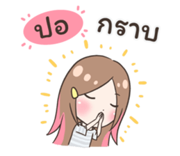 55505173