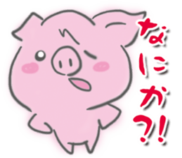 5550674