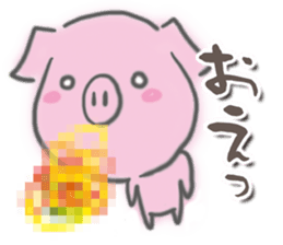 5550681