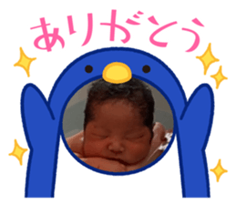 555073721