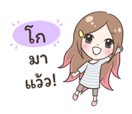 55508503