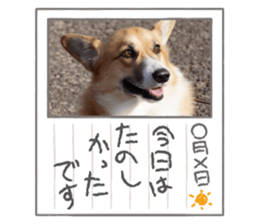 555091803