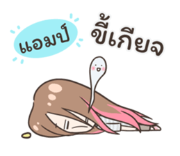 55510423
