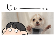 555107196