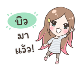 55513303