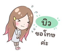 55513338