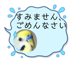 555142136