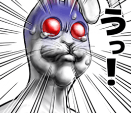 555201248